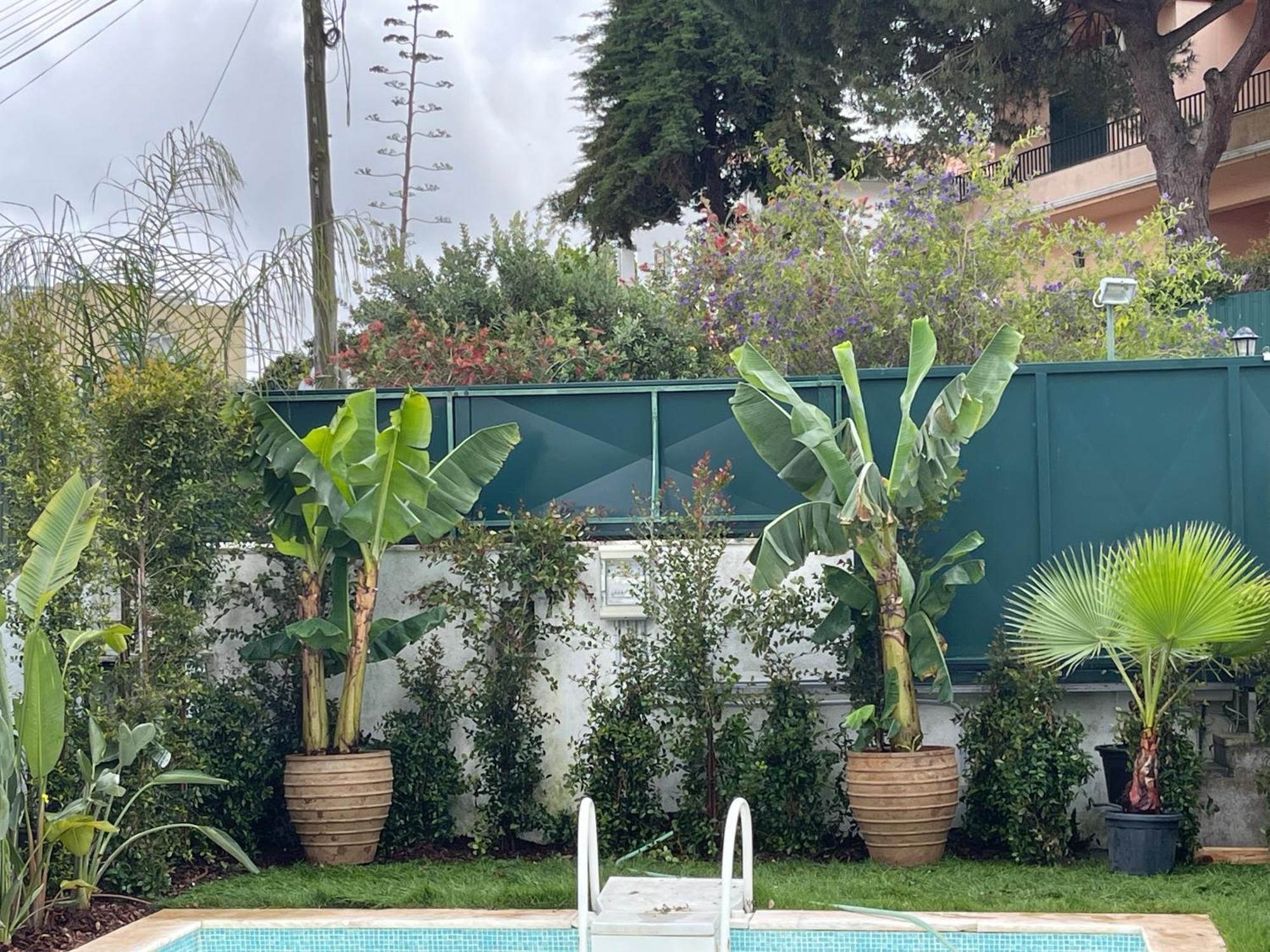 Willa Retreat Villa, Full Amenities, Up To 40ppl *